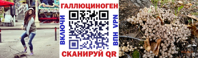 kraken как войти купить наркоту Гудермес Галлюциногенные грибы прущие грибы