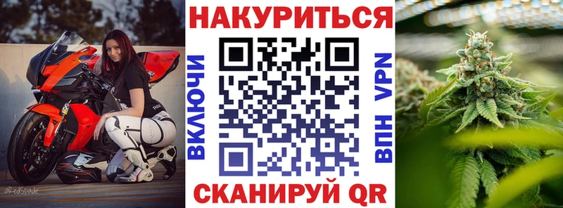 где найти Гудермес Шишки марихуана VHQ